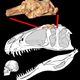 Illustration for article titled New dinosaur named after Sauron from Lord of the Rings